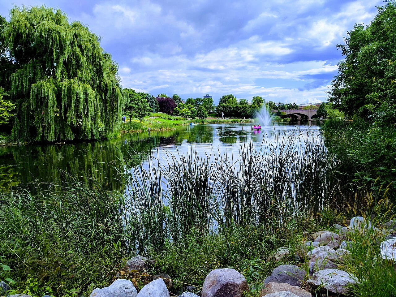 Willow trees, reeds and a fountain around the lake at Centennial Lakes Park in Edina